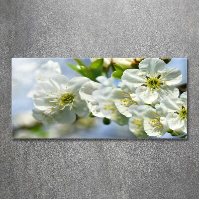 Quadro su vetro acrilico Fiori di ciliegio