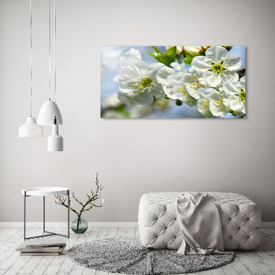 Quadro su vetro acrilico Fiori di ciliegio