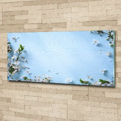 Quadro in vetro acrilico Sfondo con fiori di ciliegio