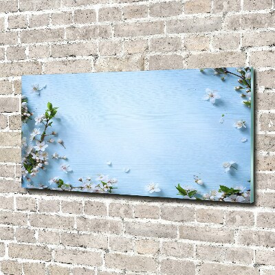 Quadro in vetro acrilico Sfondo con fiori di ciliegio