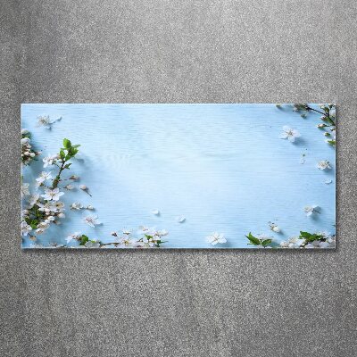 Quadro in vetro acrilico Sfondo con fiori di ciliegio