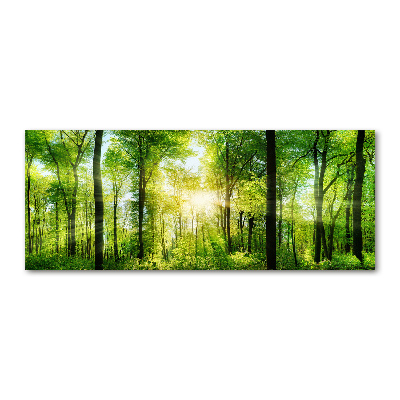 Quadro vetro acrilico Foresta al sole