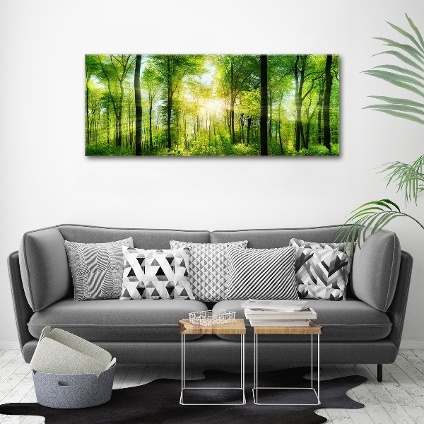 Quadro vetro acrilico Foresta al sole