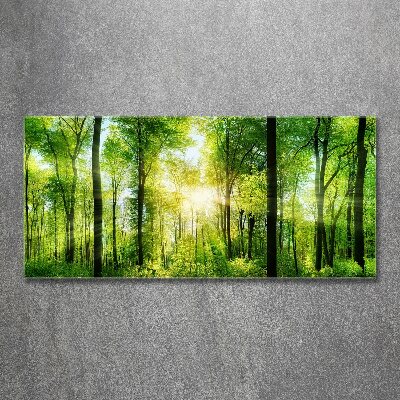 Quadro vetro acrilico Foresta al sole