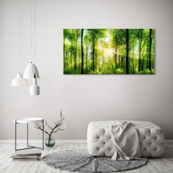 Quadro vetro acrilico Foresta al sole