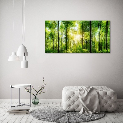 Quadro vetro acrilico Foresta al sole