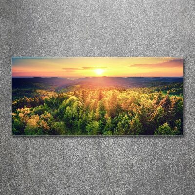 Quadro su vetro acrilico Tramonto nella foresta