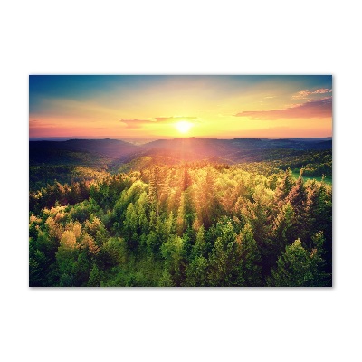 Quadro su vetro acrilico Tramonto nella foresta