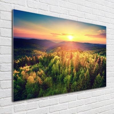 Quadro su vetro acrilico Tramonto nella foresta