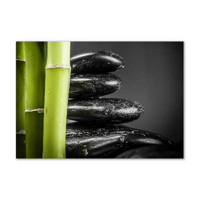 Quadro su vetro acrilico Bambù