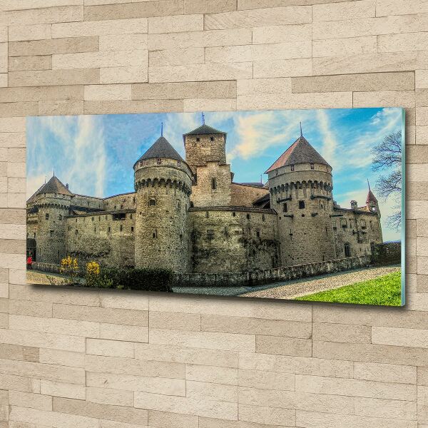 Quadro vetro acrilico Un castello in Svizzera