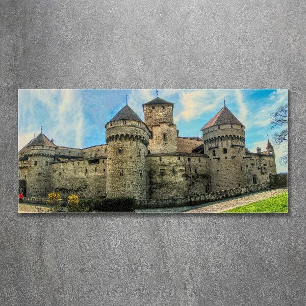 Quadro vetro acrilico Un castello in Svizzera