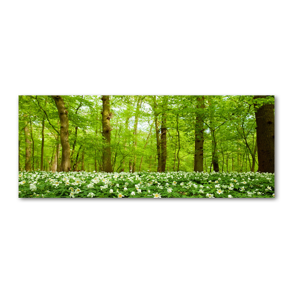 Quadro in vetro acrilico Fiori nella foresta