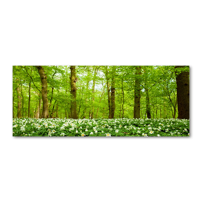 Quadro in vetro acrilico Fiori nella foresta