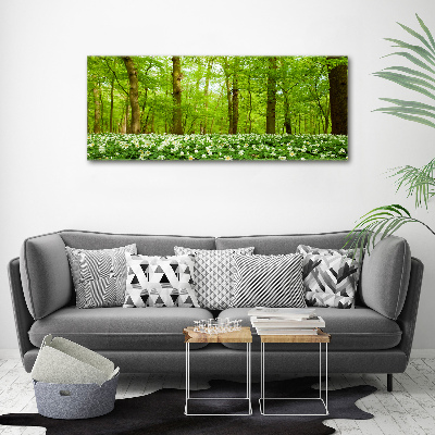 Quadro in vetro acrilico Fiori nella foresta