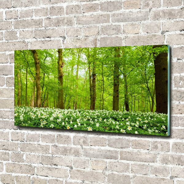Quadro in vetro acrilico Fiori nella foresta