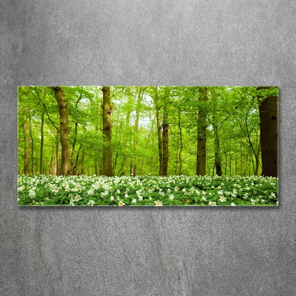 Quadro in vetro acrilico Fiori nella foresta
