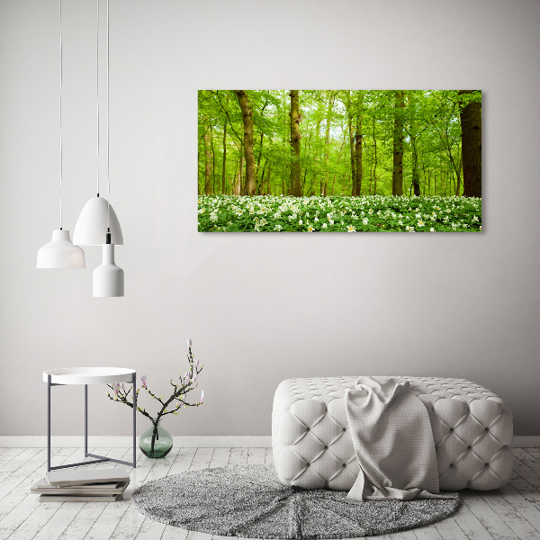 Quadro in vetro acrilico Fiori nella foresta