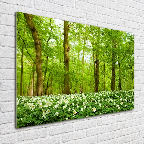 Quadro in vetro acrilico Fiori nella foresta