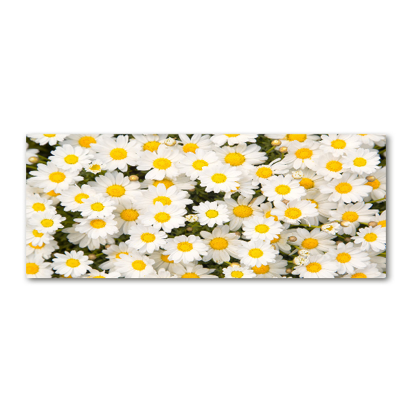 Quadro vetro acrilico Margherite