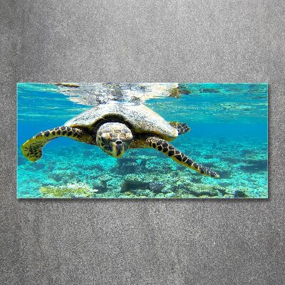 Quadro in vetro acrilico Tartaruga marina