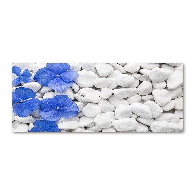 Quadro su vetro acrilico Ortensia