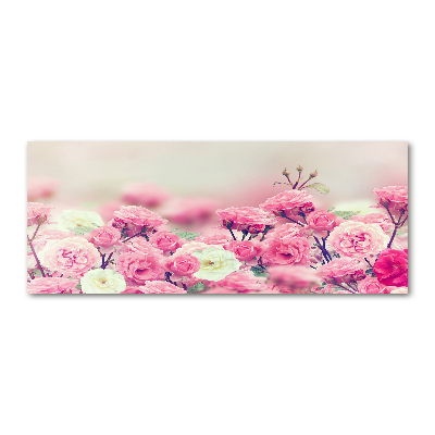 Quadro in vetro acrilico Fiori di rosa selvatica