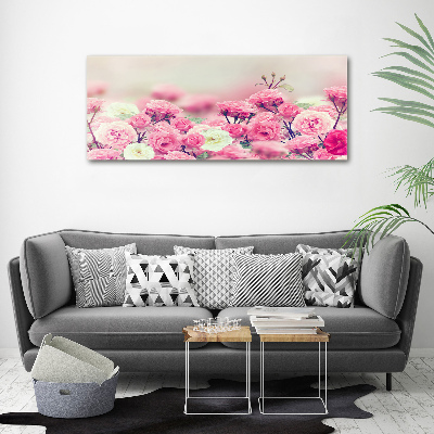 Quadro in vetro acrilico Fiori di rosa selvatica