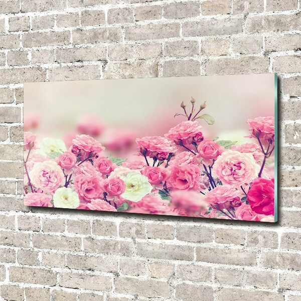 Quadro in vetro acrilico Fiori di rosa selvatica