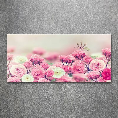 Quadro in vetro acrilico Fiori di rosa selvatica
