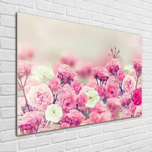 Quadro in vetro acrilico Fiori di rosa selvatica