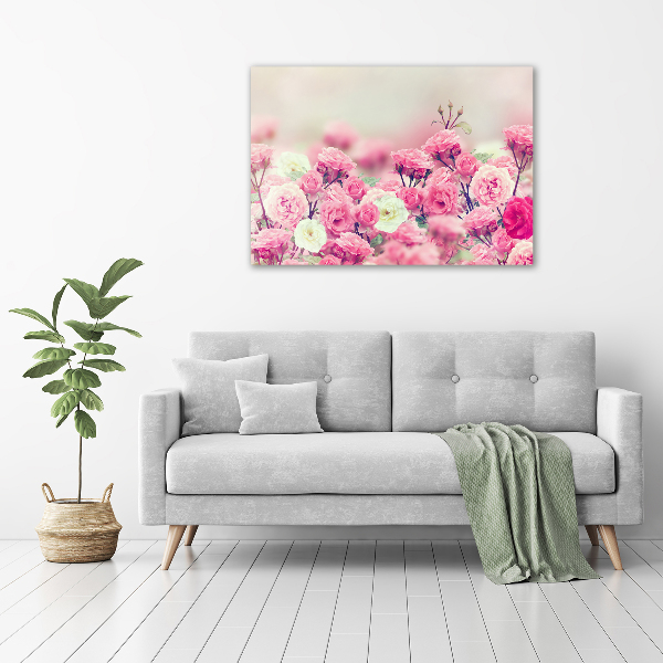 Quadro in vetro acrilico Fiori di rosa selvatica