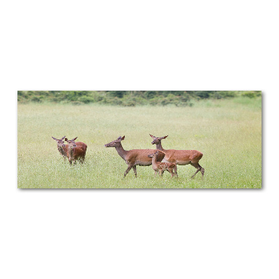 Quadro su vetro acrilico Capriolo con i piccoli