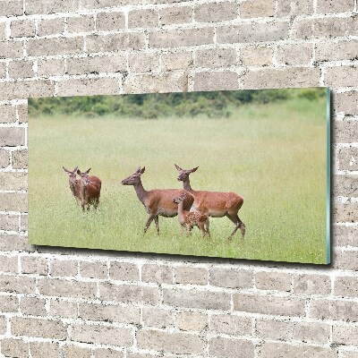 Quadro su vetro acrilico Capriolo con i piccoli