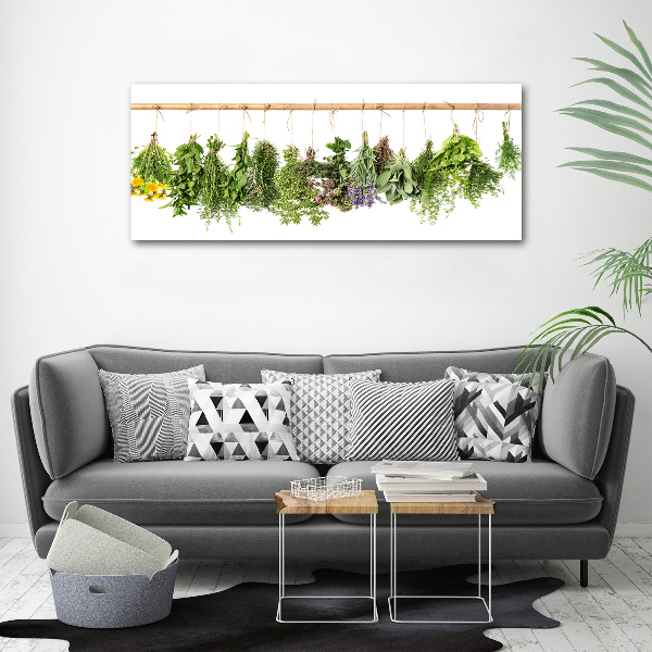 Quadro vetro acrilico Erbe aromatiche su un filo