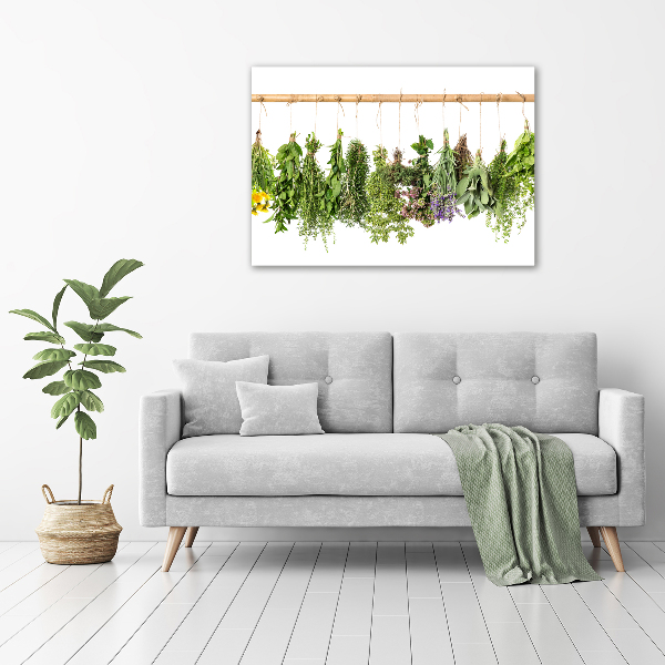 Quadro vetro acrilico Erbe aromatiche su un filo