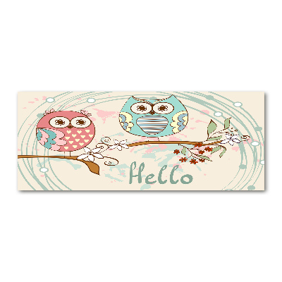 Quadro vetro acrilico Gufi