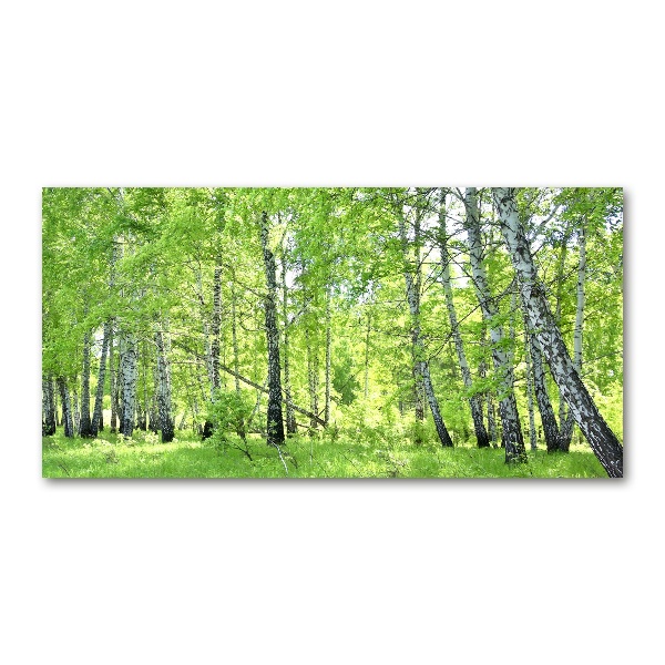 Quadro su vetro acrilico Foresta di betulle