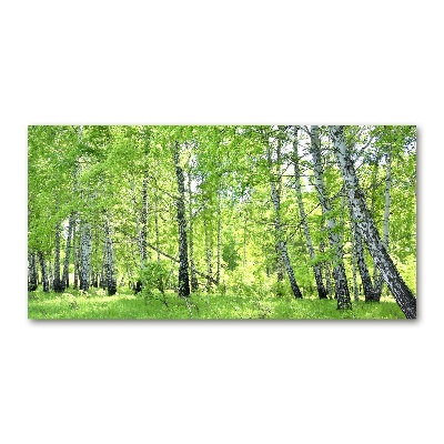 Quadro su vetro acrilico Foresta di betulle