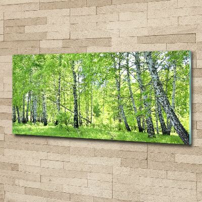 Quadro su vetro acrilico Foresta di betulle