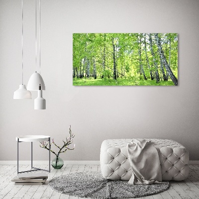 Quadro su vetro acrilico Foresta di betulle