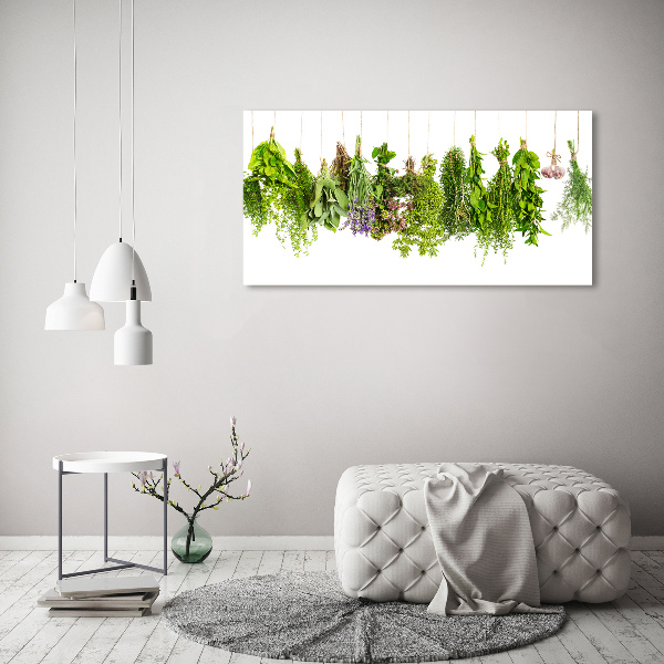 Quadro su vetro acrilico Erbe aromatiche su un filo