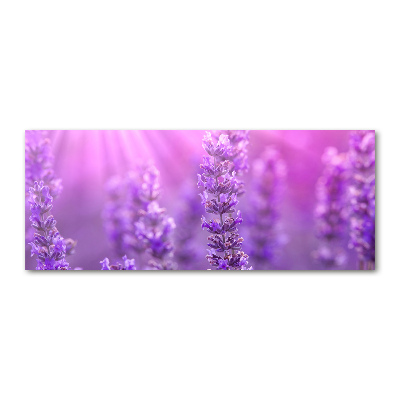 Quadro in vetro acrilico Lavanda