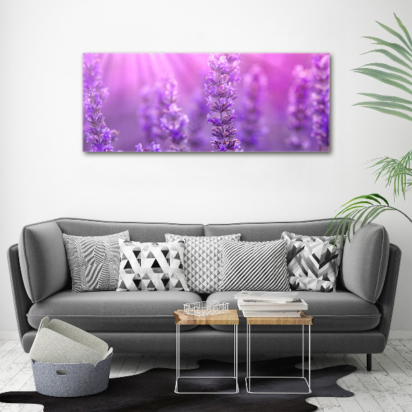 Quadro in vetro acrilico Lavanda