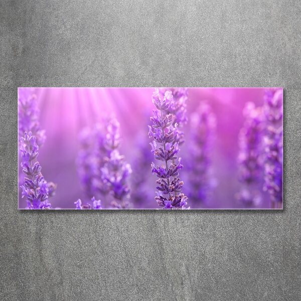 Quadro in vetro acrilico Lavanda