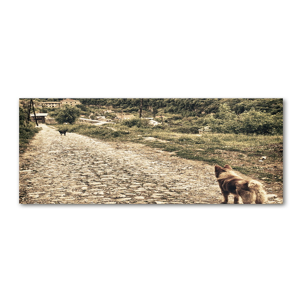 Quadro vetro acrilico Due cani su una collina