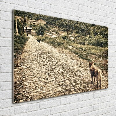 Quadro vetro acrilico Due cani su una collina
