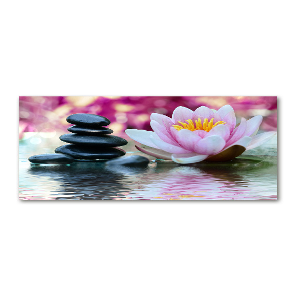 Quadro su vetro acrilico Ninfea