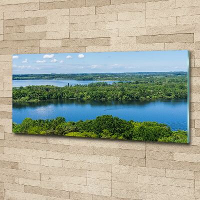 Quadro vetro acrilico Foresta in riva al lago