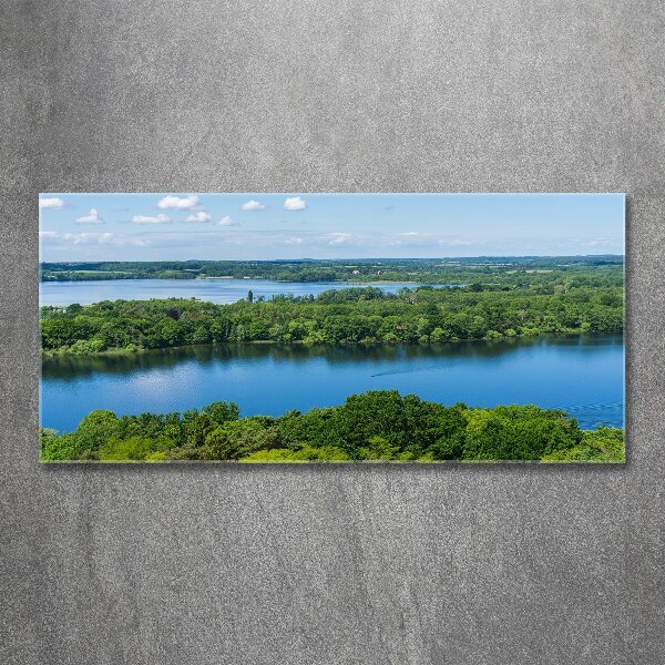 Quadro vetro acrilico Foresta in riva al lago